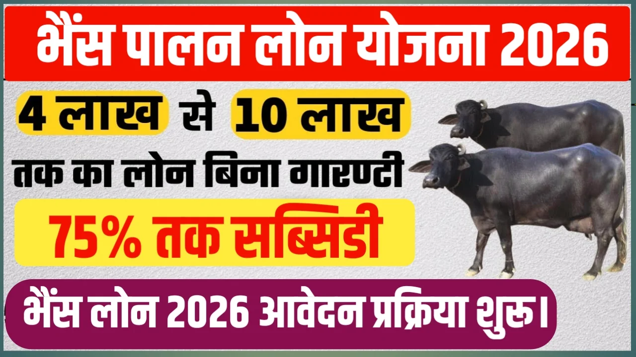 Bhens Palan Loan Yojana 2026