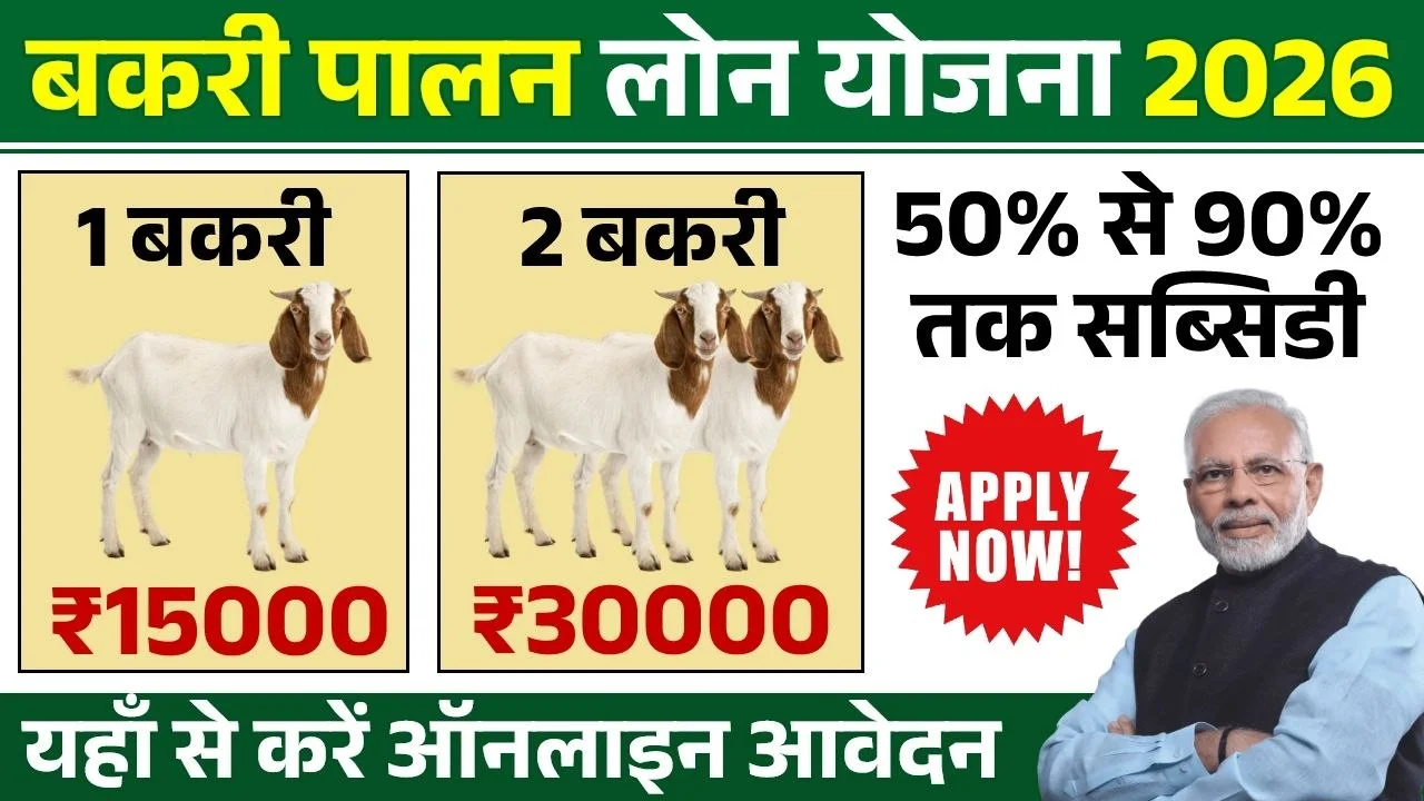 Bakri Palan Yojana Maharashtra